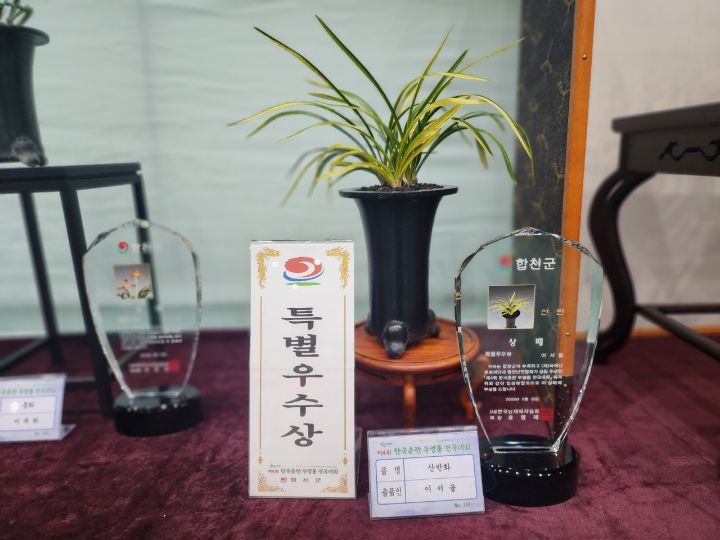 무명품 이미지