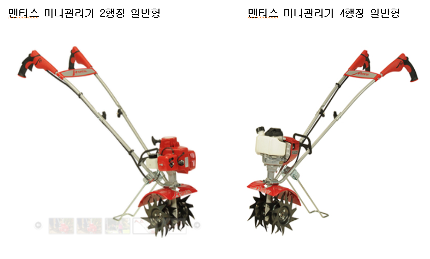 맨티스 이미지