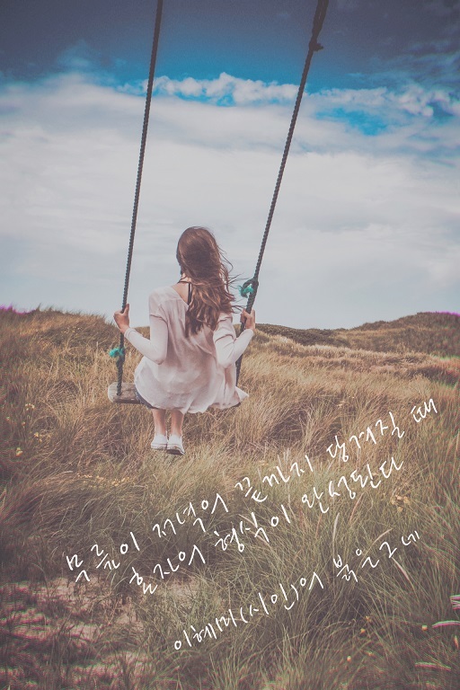 그네 이미지