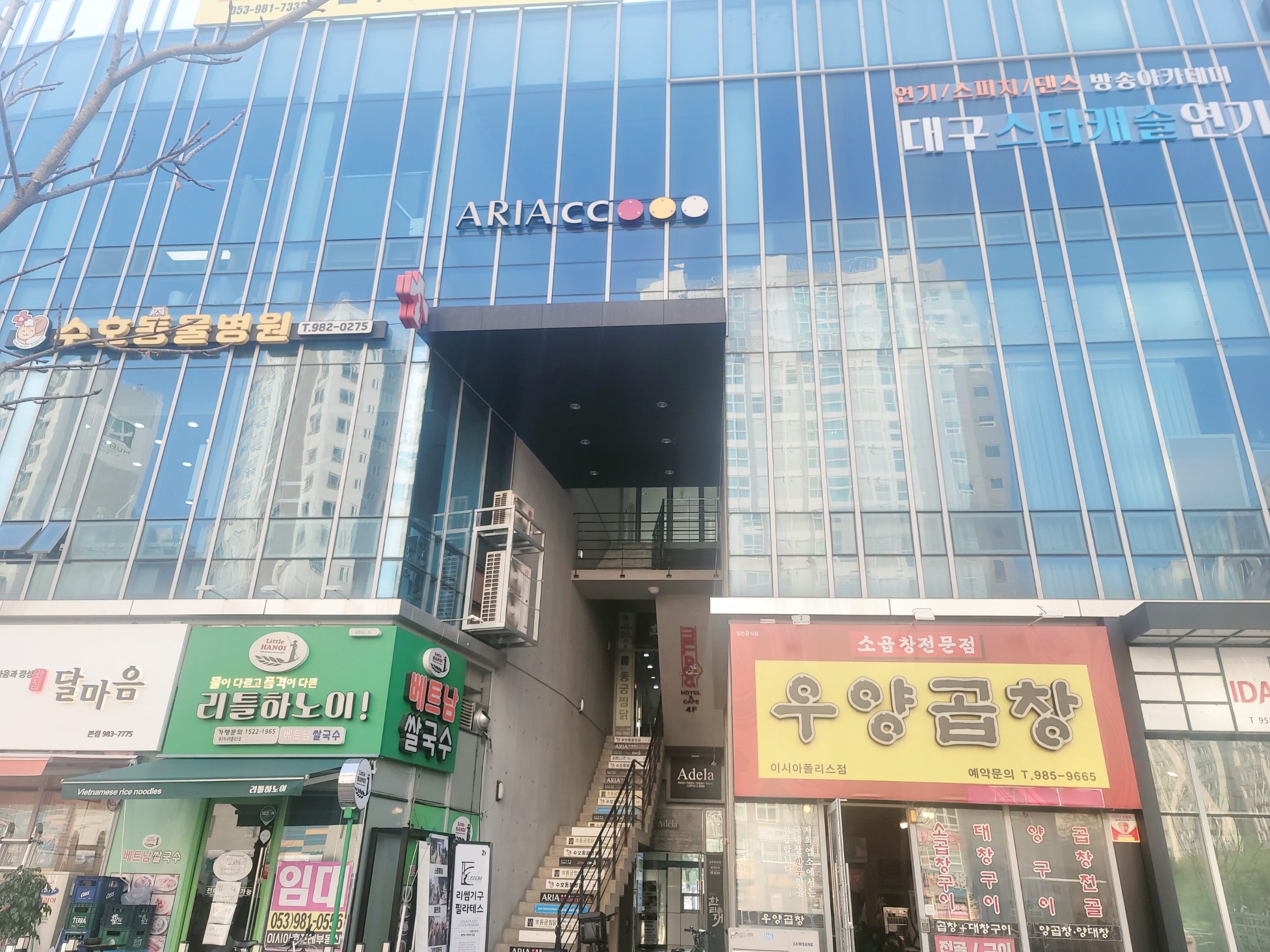 라팔캐롬클럽 이미지