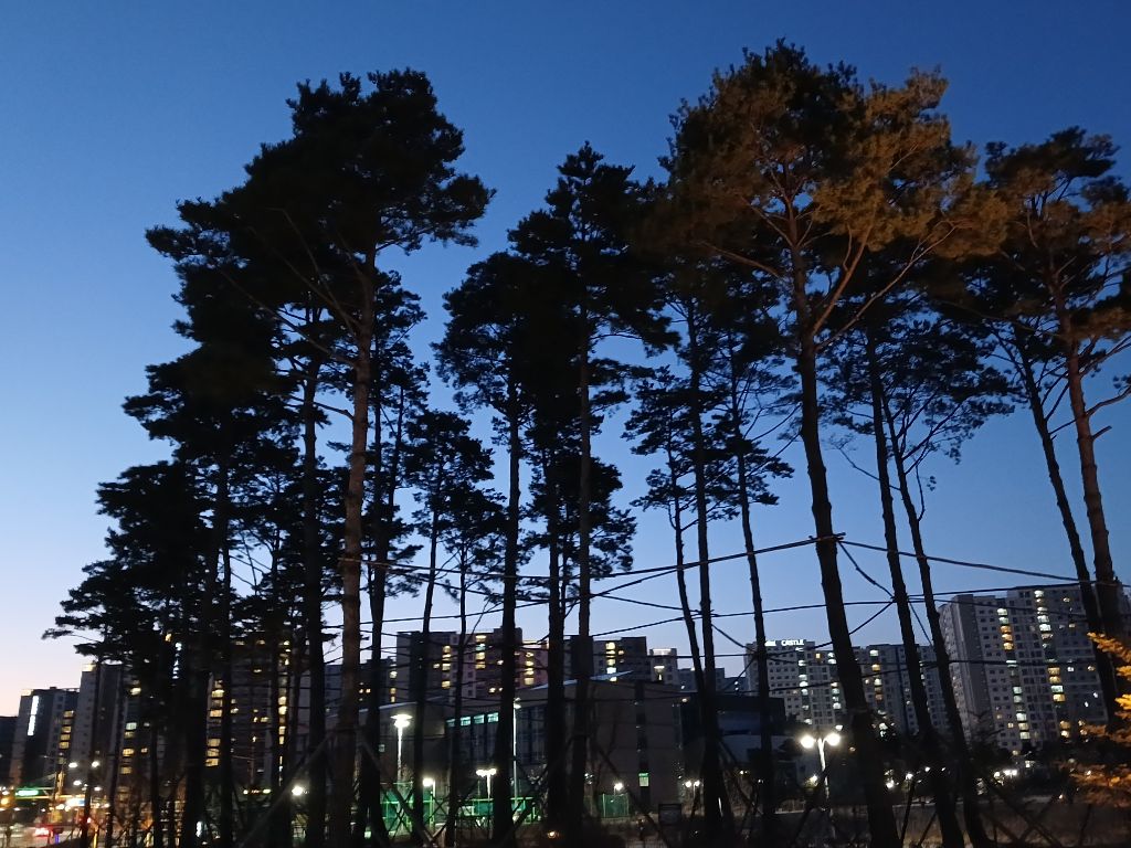 장*관 이미지