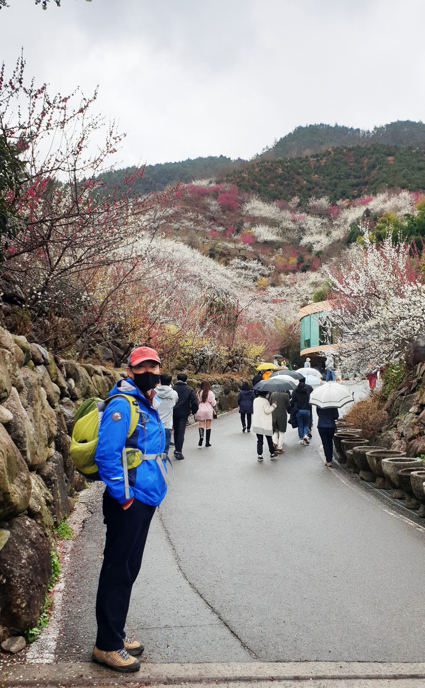 숲향여행사 이미지