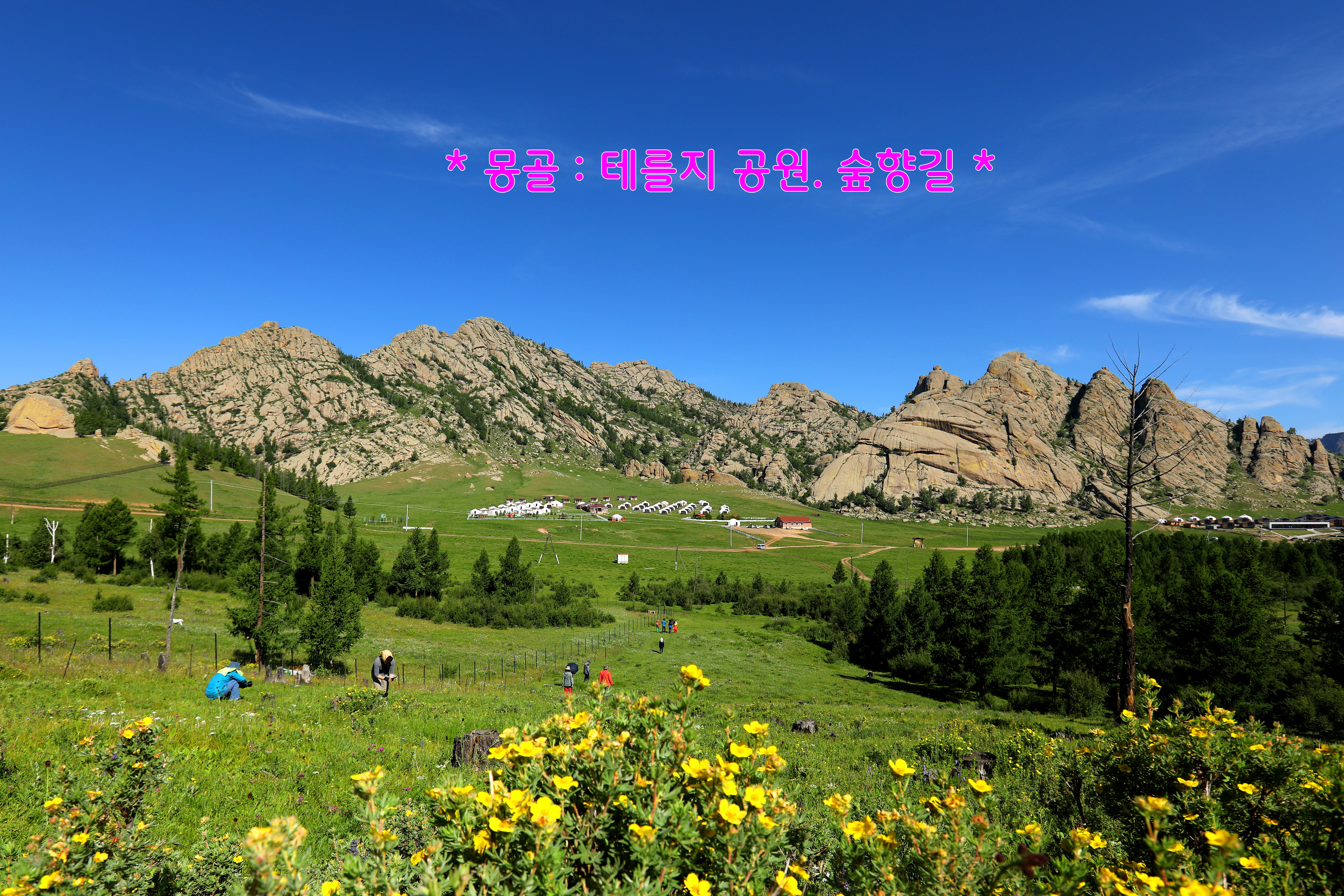 숲향여행사 이미지