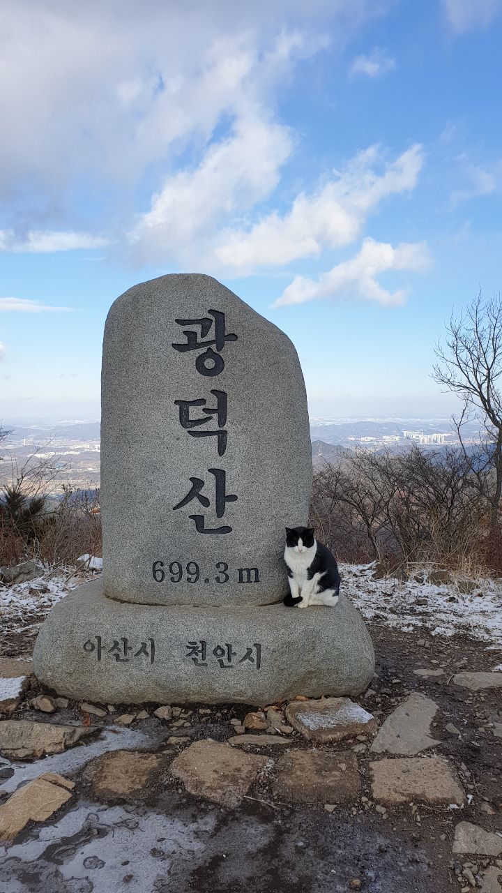 이젠카페 이미지