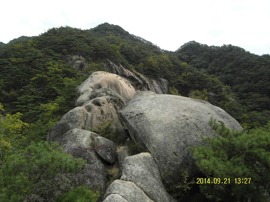 천장군 이미지