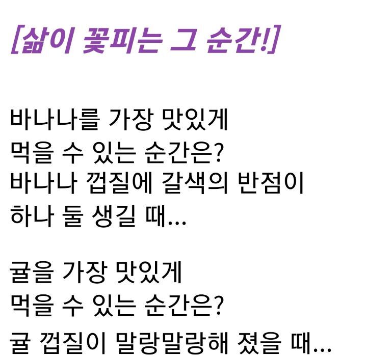 그순간꽃 이미지