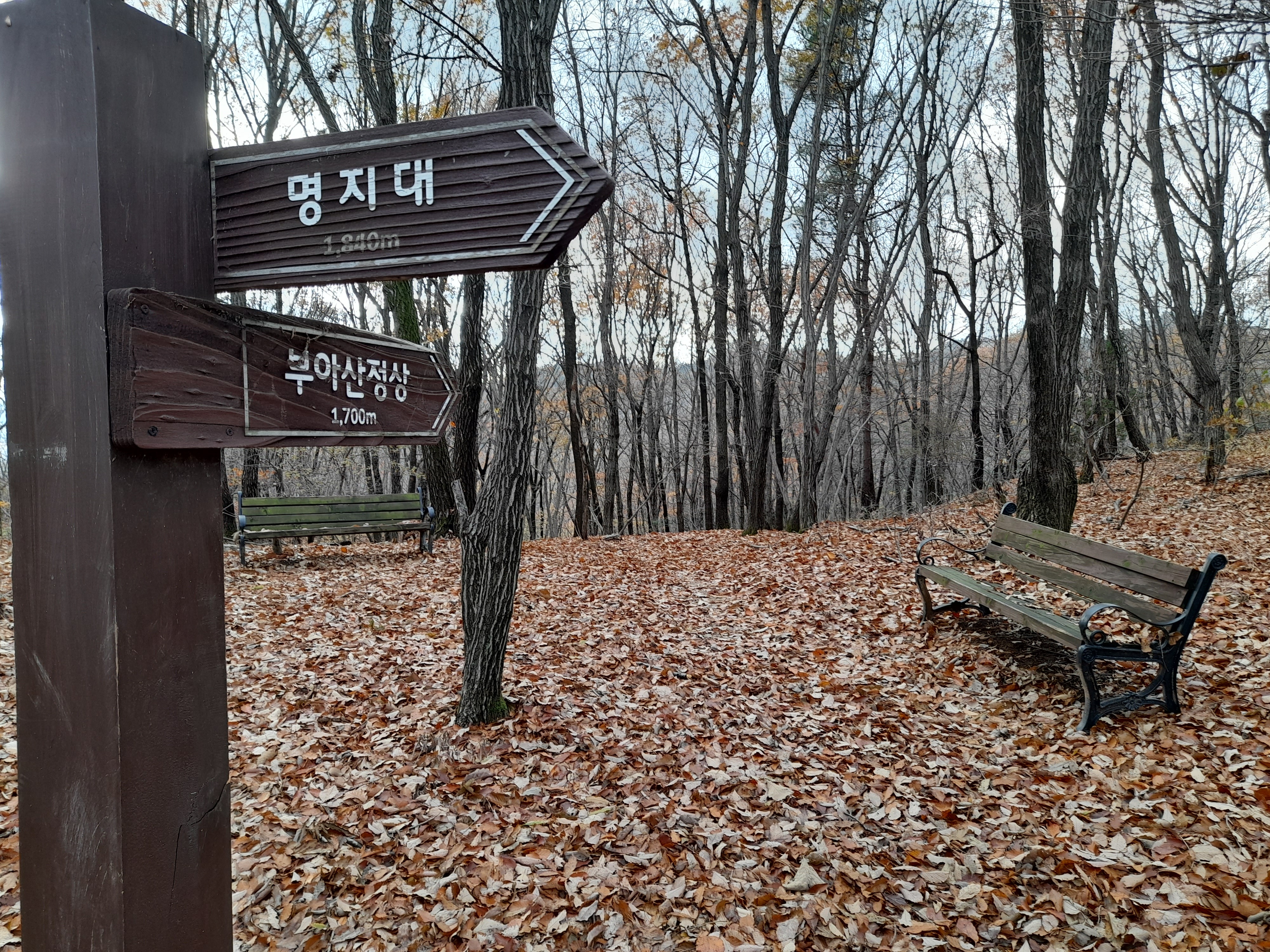 함박산,부아산,억조산 (안터입구~어정역 코스) - 산행일지 - 구천골 함박산,부아산,억조산 (안터입구~어정역 코스)