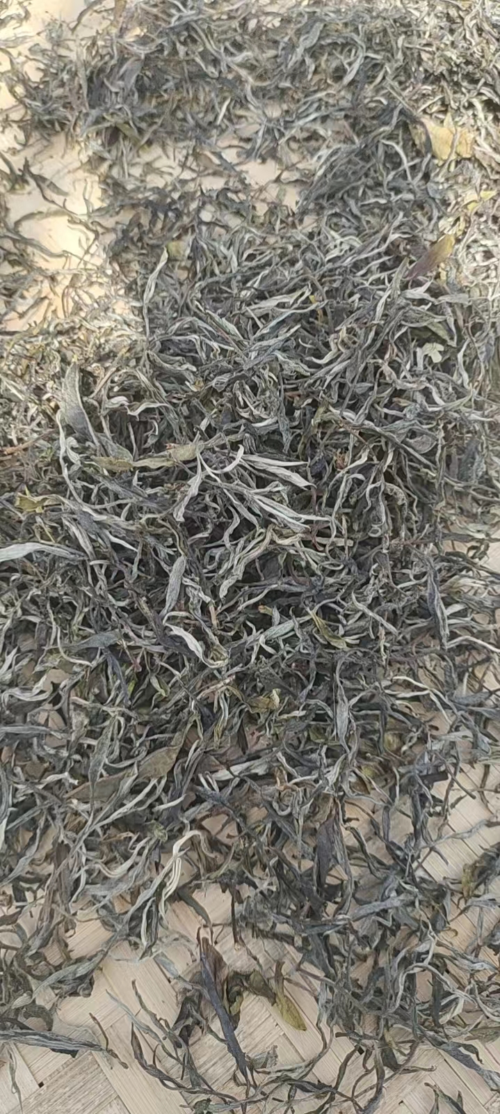 반펀신자이 이미지
