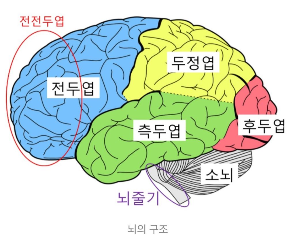 집요한사람들 이미지