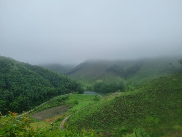 등로 주변 풍경 이미지