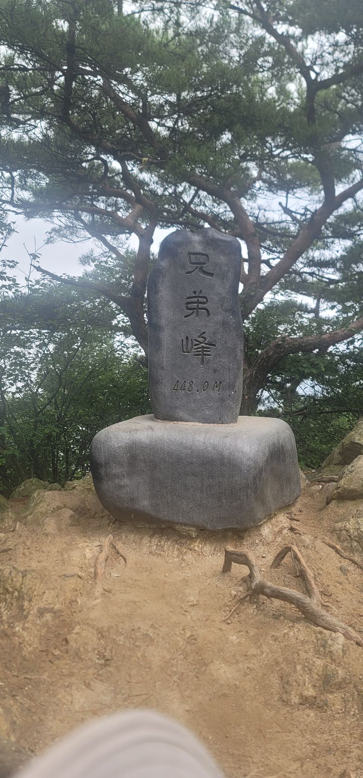 선유천국기대 정상 이미지