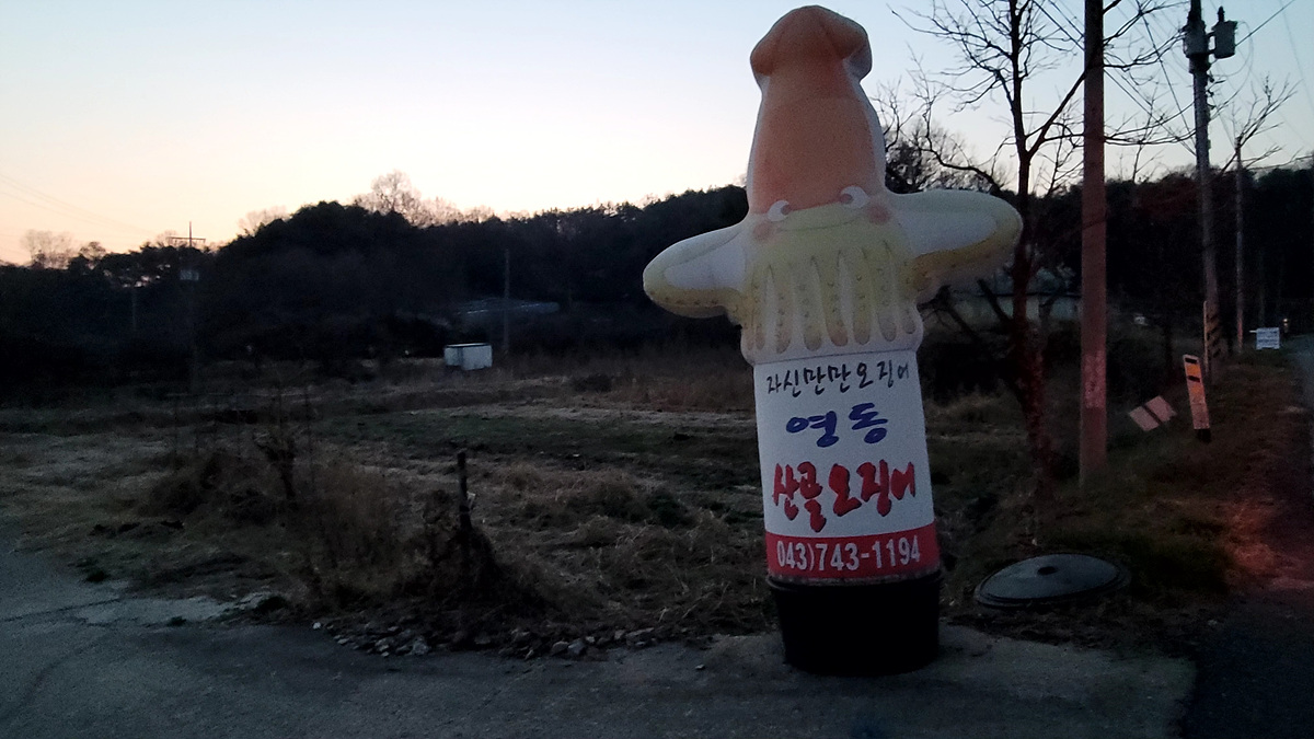 영동생선 이미지