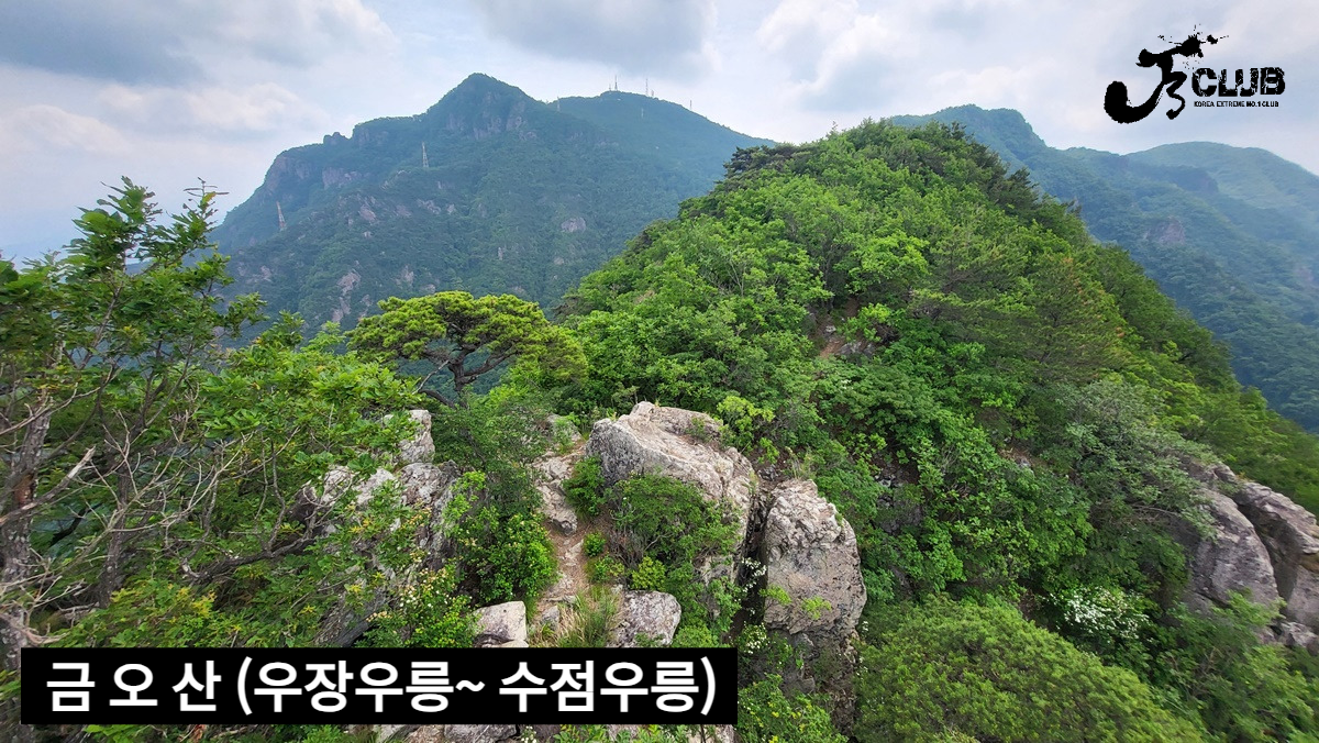 일우장 이미지