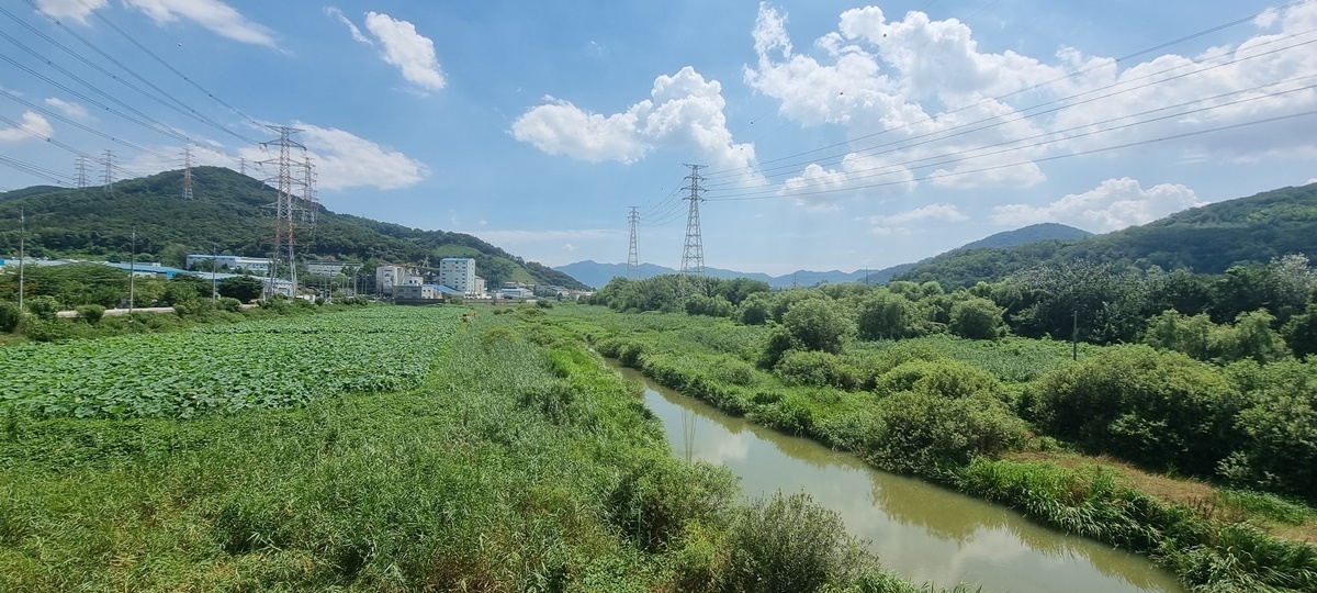 화포천 발원지를 찾아서( 62개의 국가하천중 하나) - 배방의 山河 - J3 클럽 화포천 발원지를 찾아서( 62개의 국가하천중 하나)