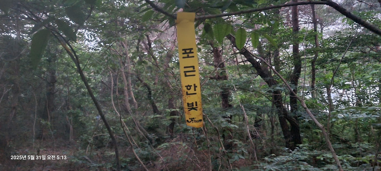 (주) 청지 이미지