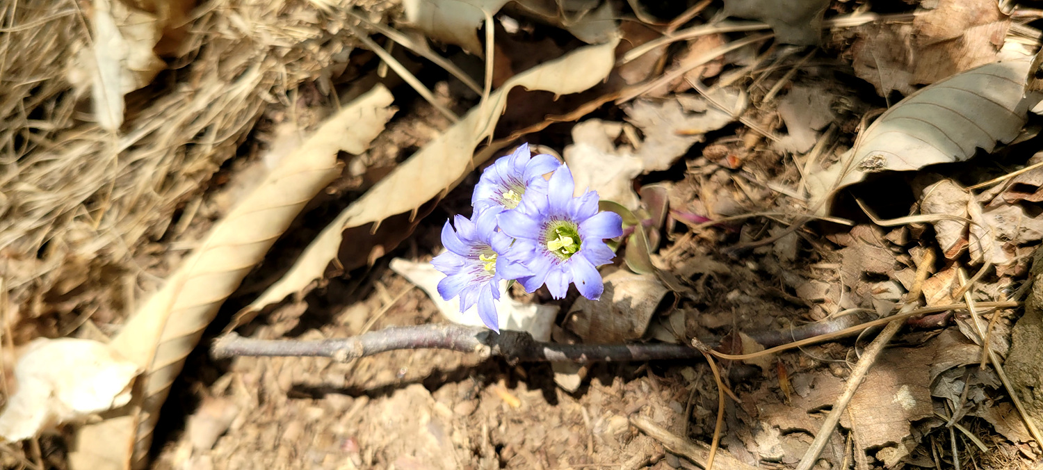 창수원 이미지