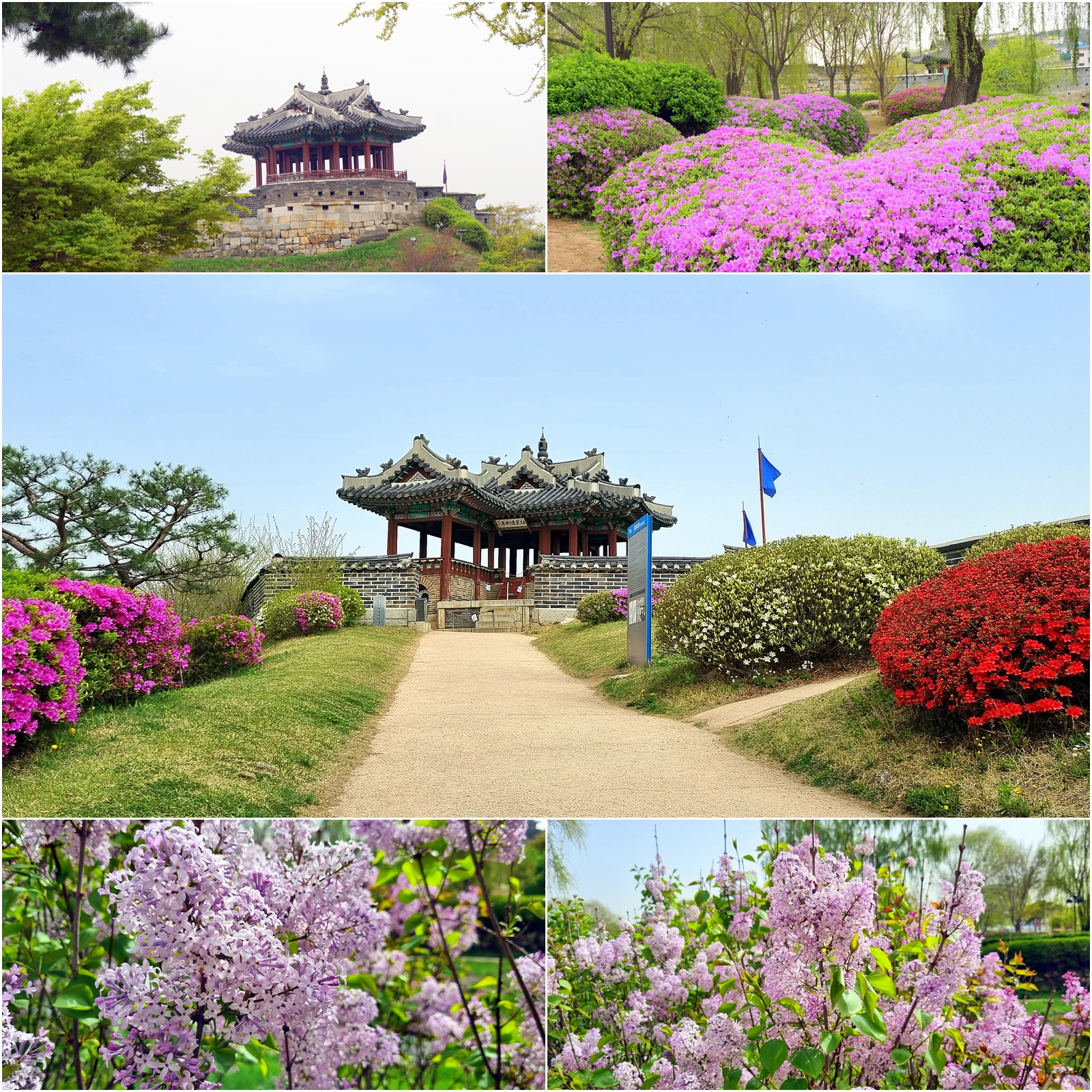 (주)제일화성 이미지