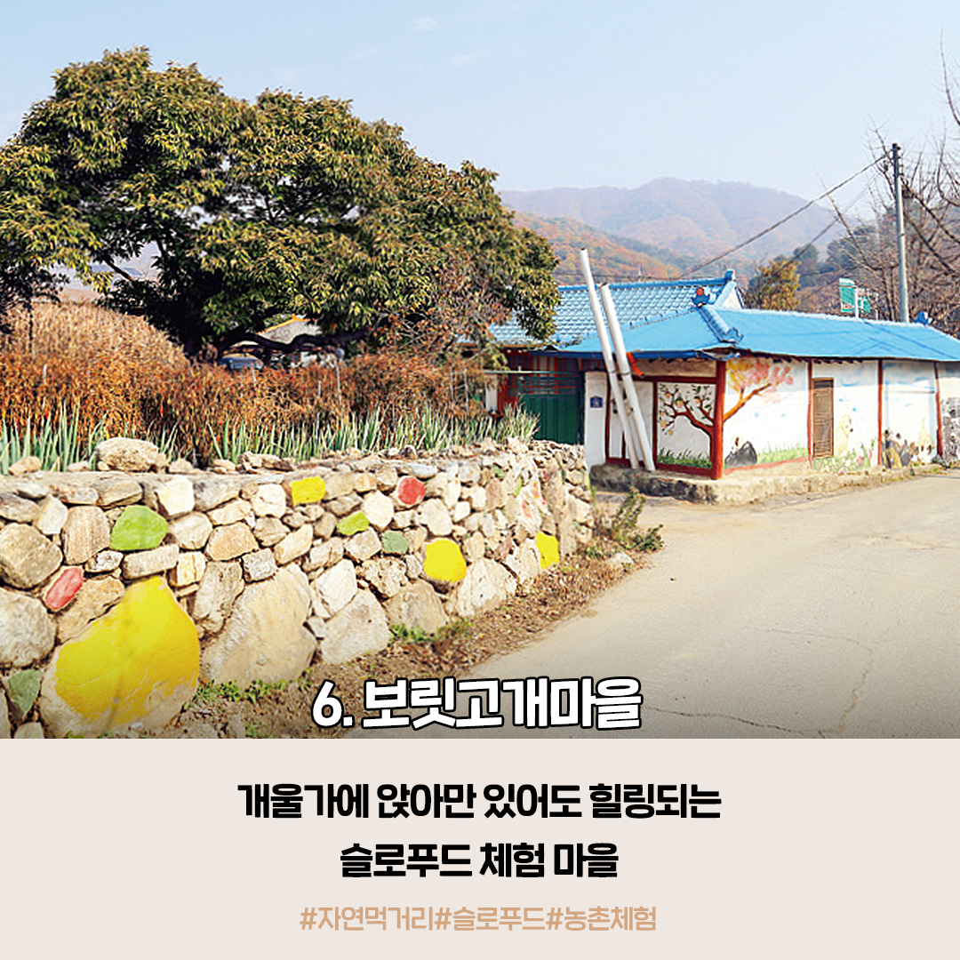 너울푸드 이미지