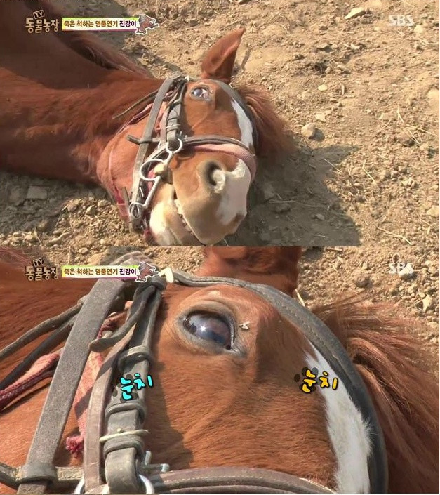 진강 이미지