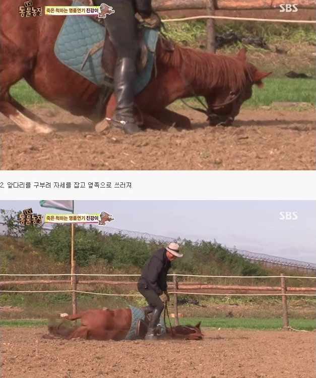 진강 이미지