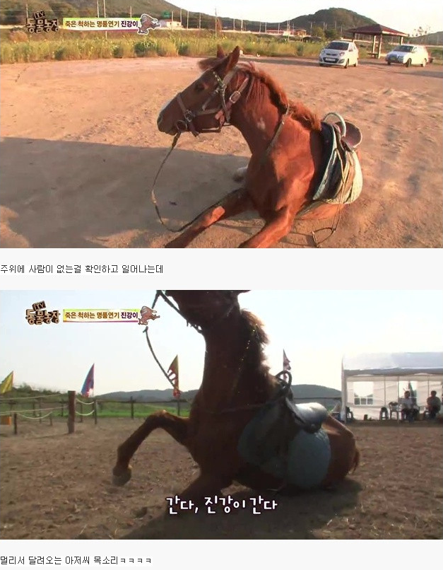 진강 이미지