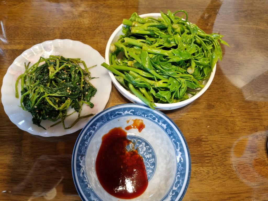 새순 이미지