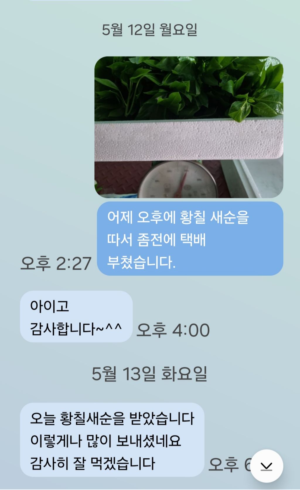 새순 이미지