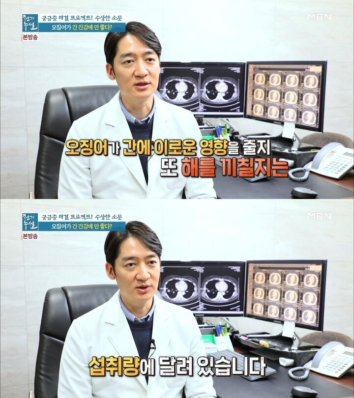 하얀오징어 이미지