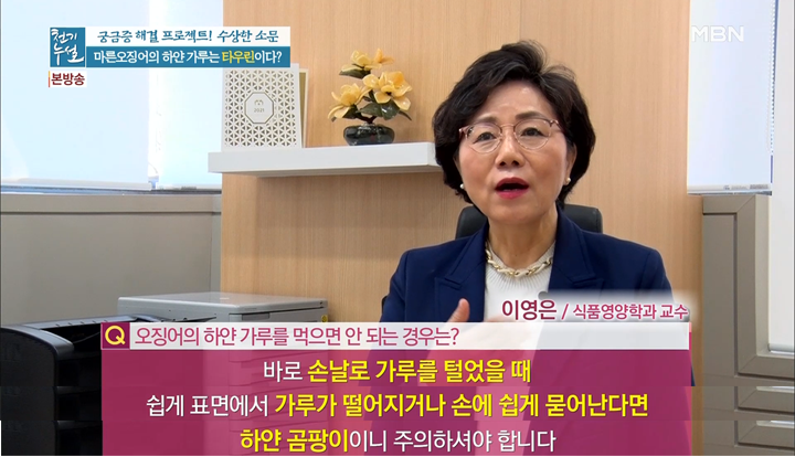 하얀오징어 이미지