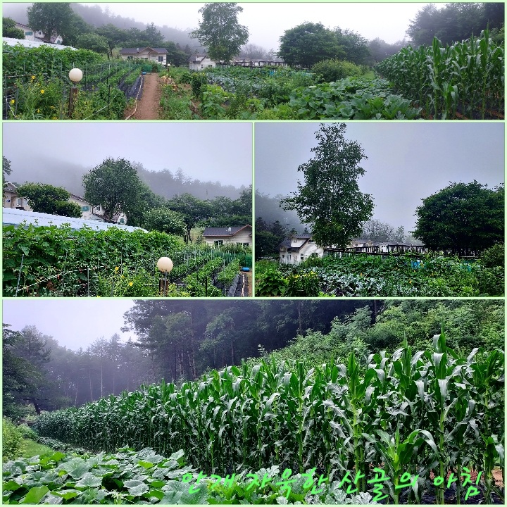 장바구니마트 이미지