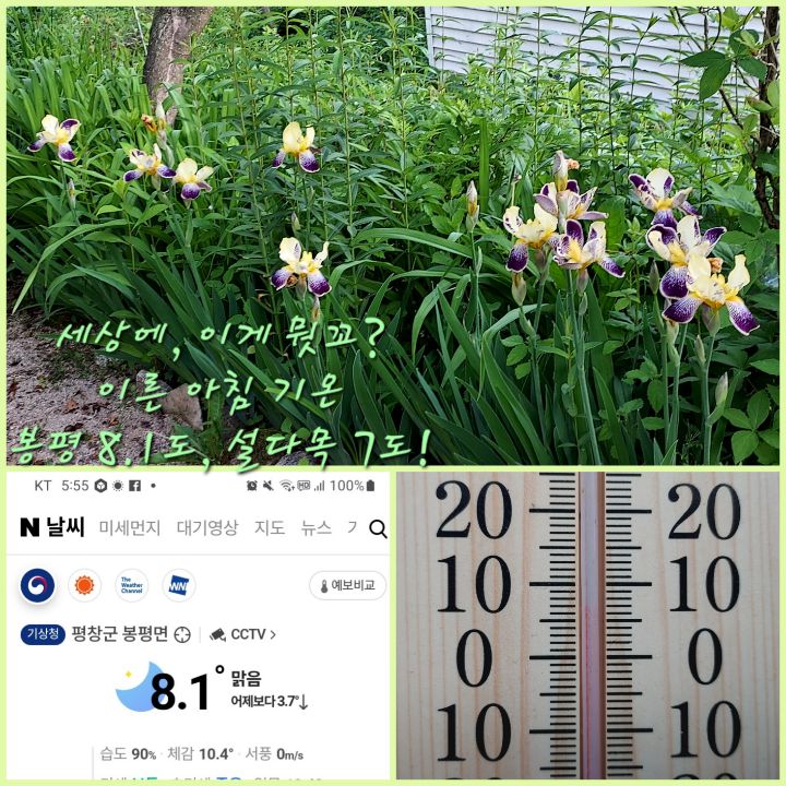 촌부일기 이미지
