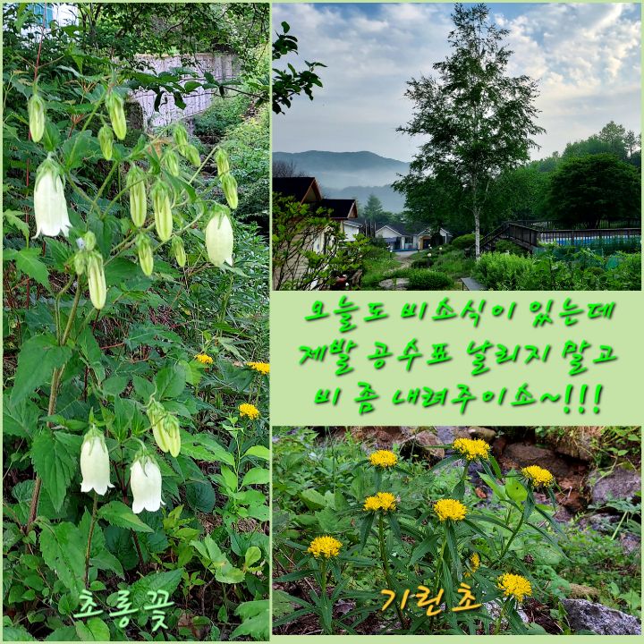 촌부일기 이미지