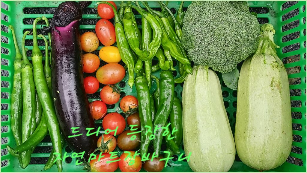 장바구니마트 이미지