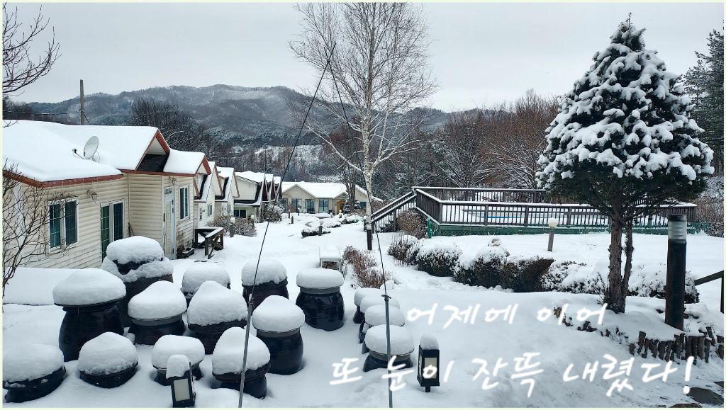 촌부일기 이미지