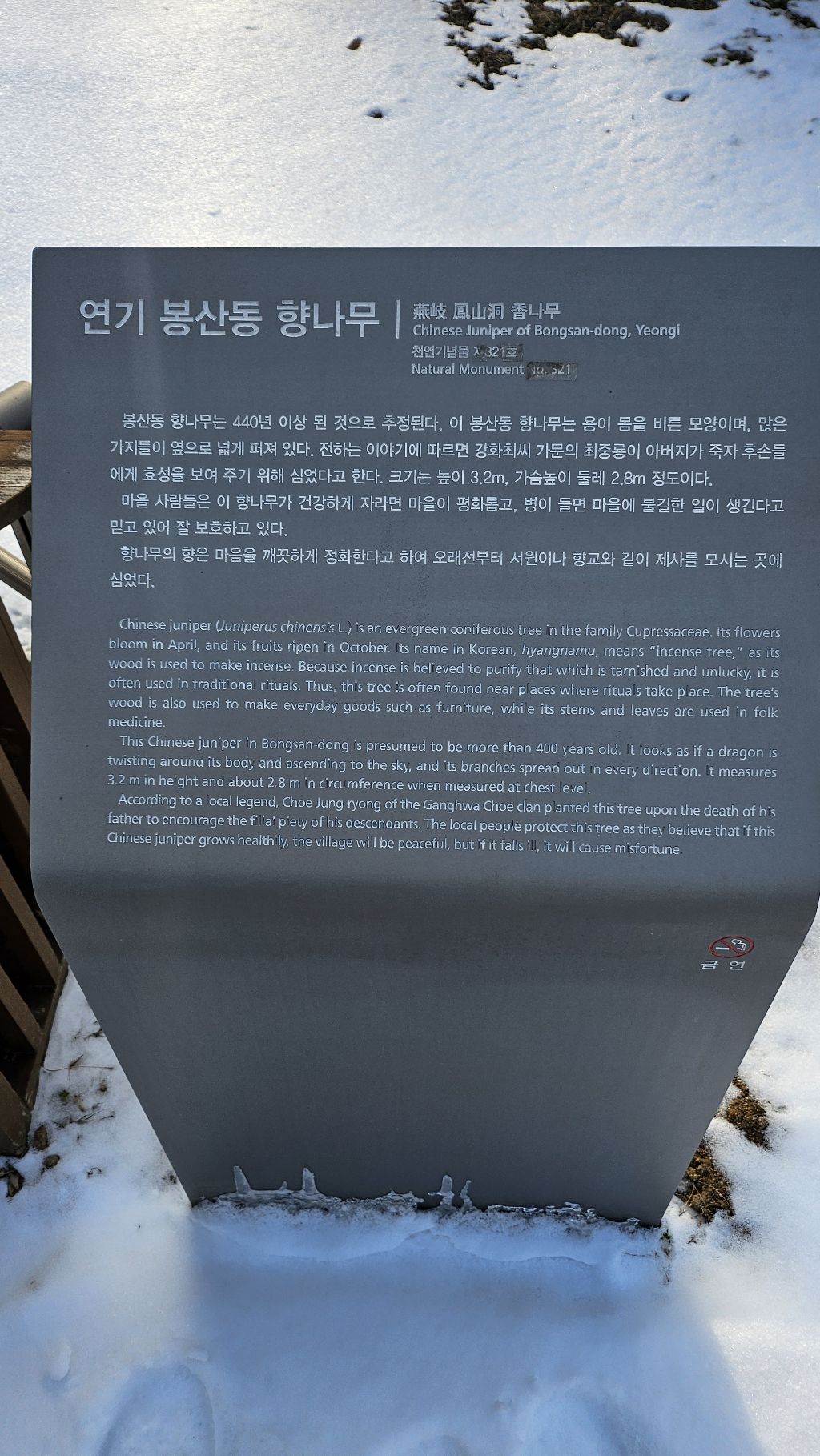 세종댄스학원 이미지