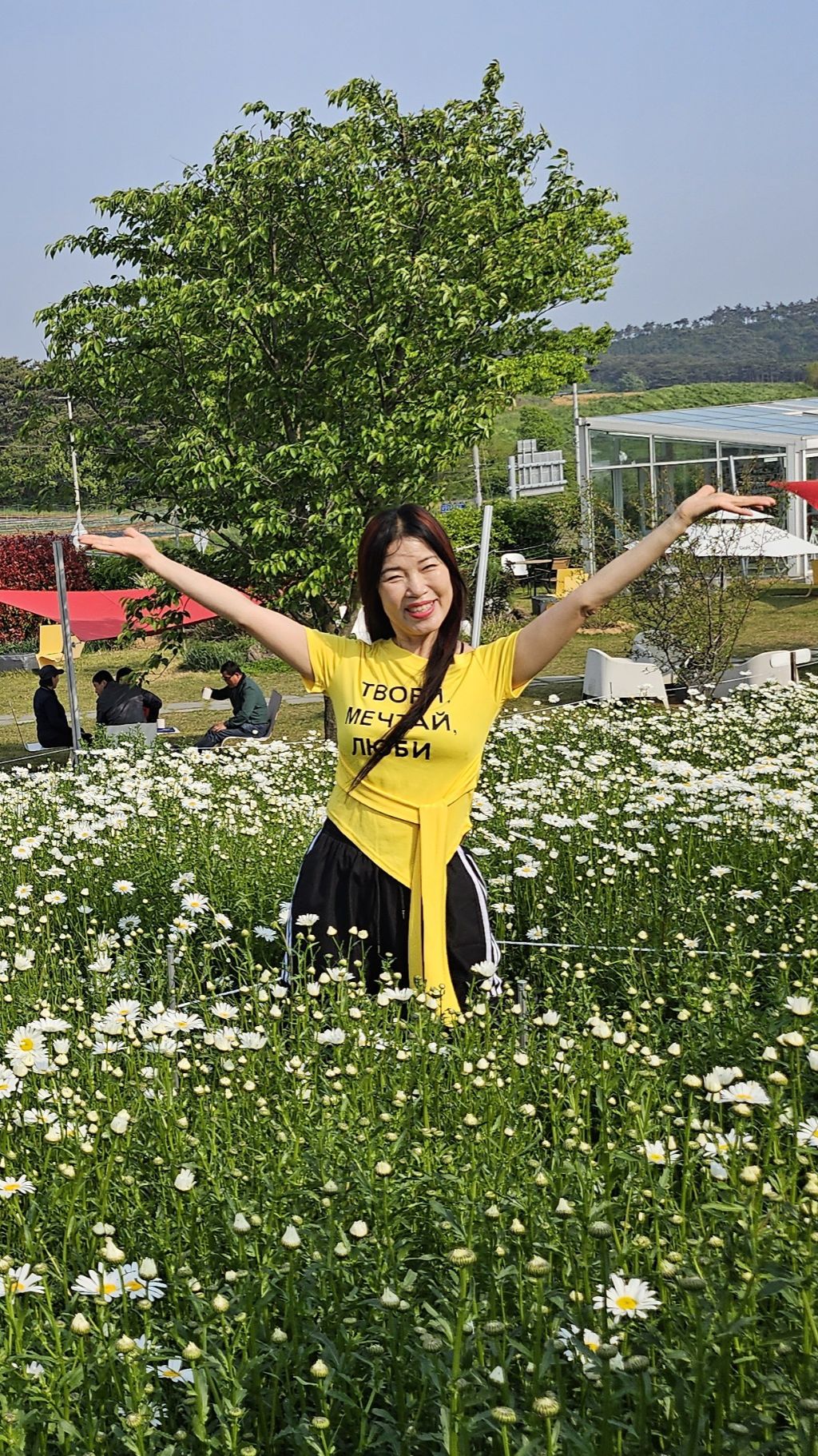 카페;데이지 이미지