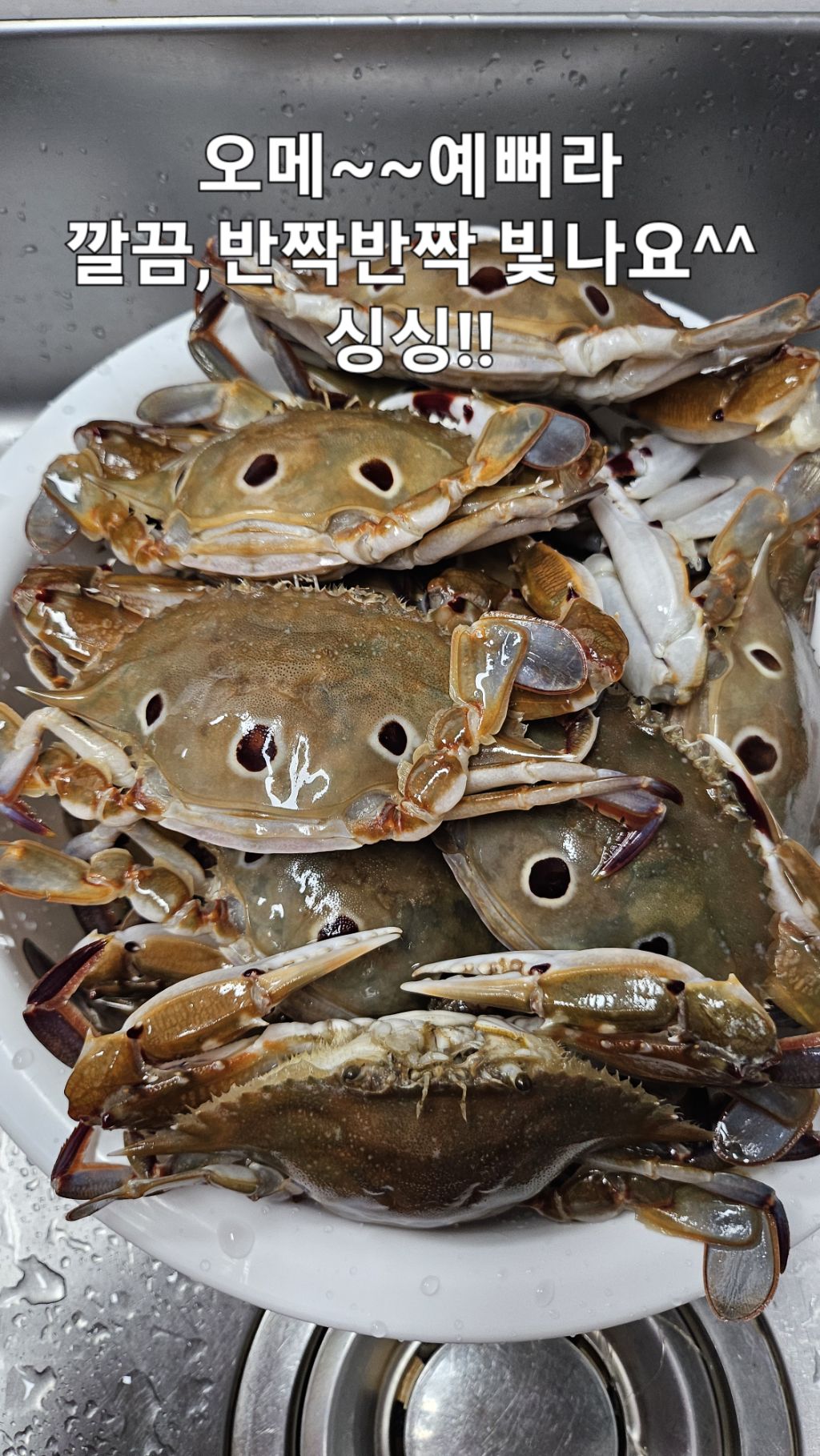 밥도둑게장 이미지
