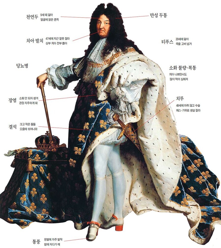 루이 이미지