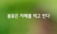 겸손의집 이미지