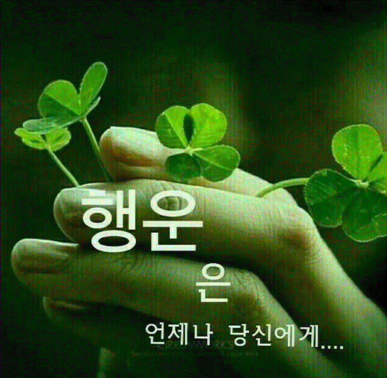 감사의집 이미지