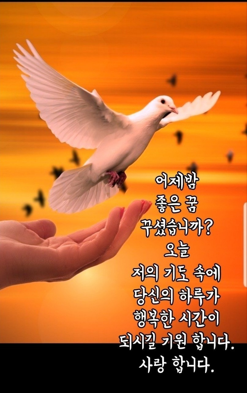 화사한날 이미지