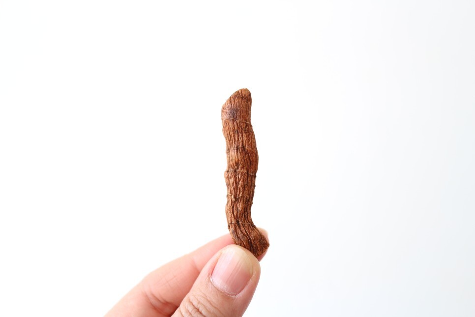 지리산처럼영농조합법인 이미지