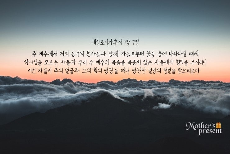 알지 이미지