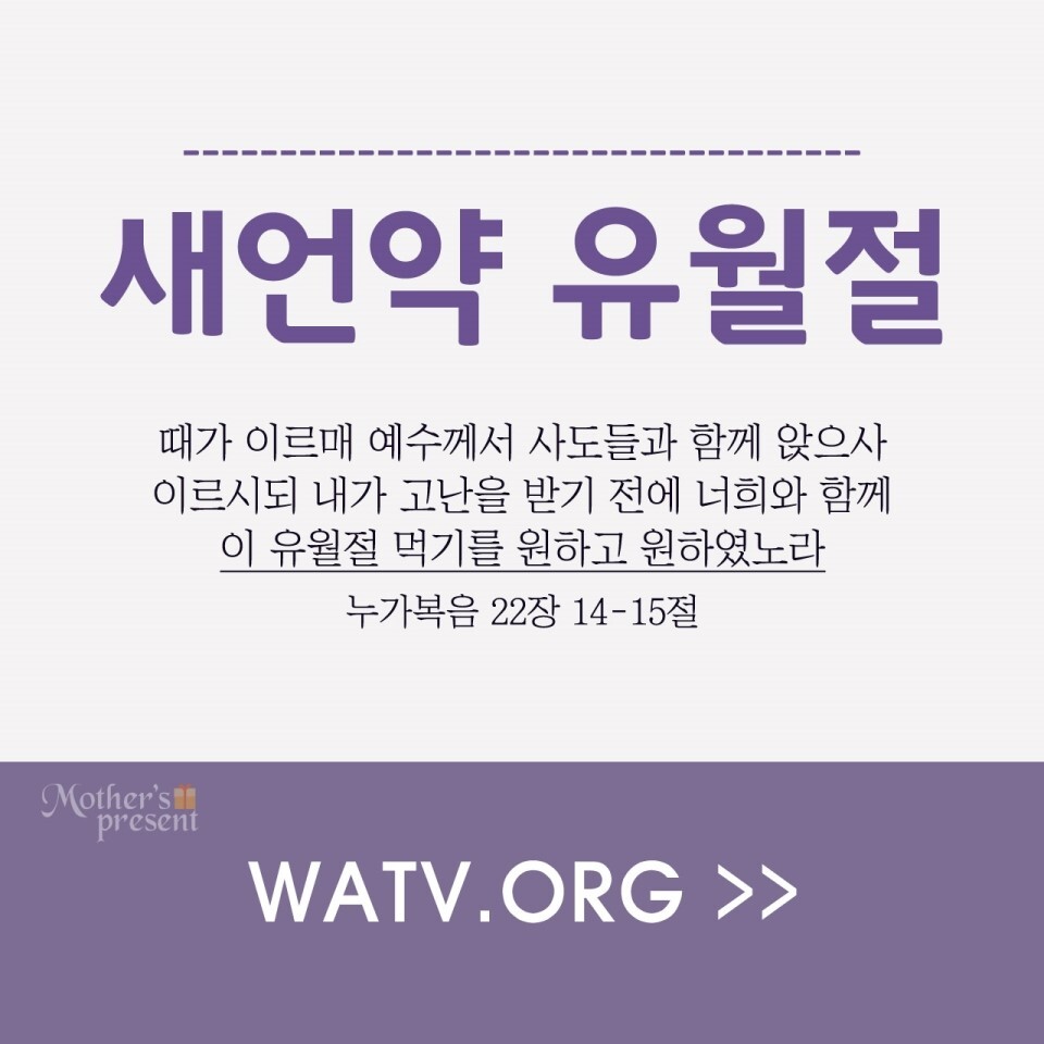 법인백성 이미지