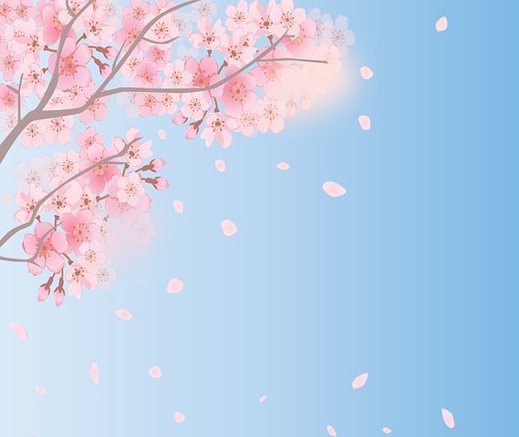 꽃피는날 이미지