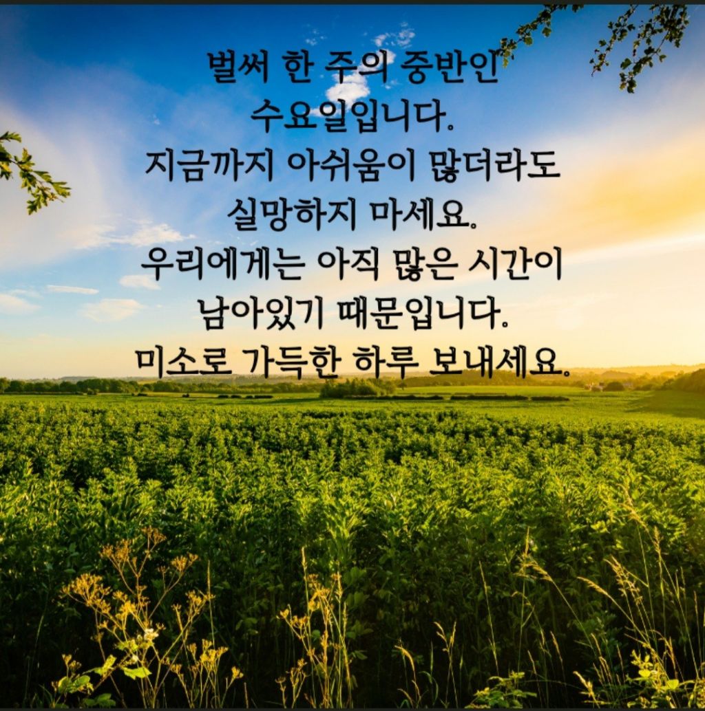 삼일투어 이미지