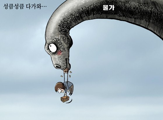 일상회 이미지