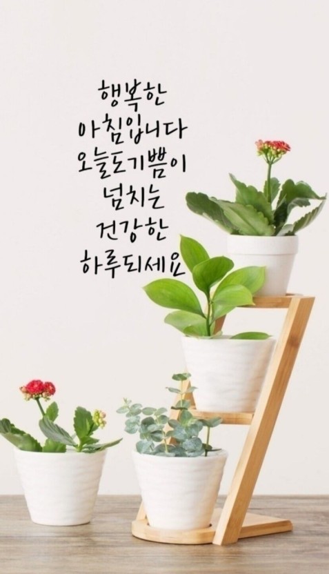 오일석유 이미지