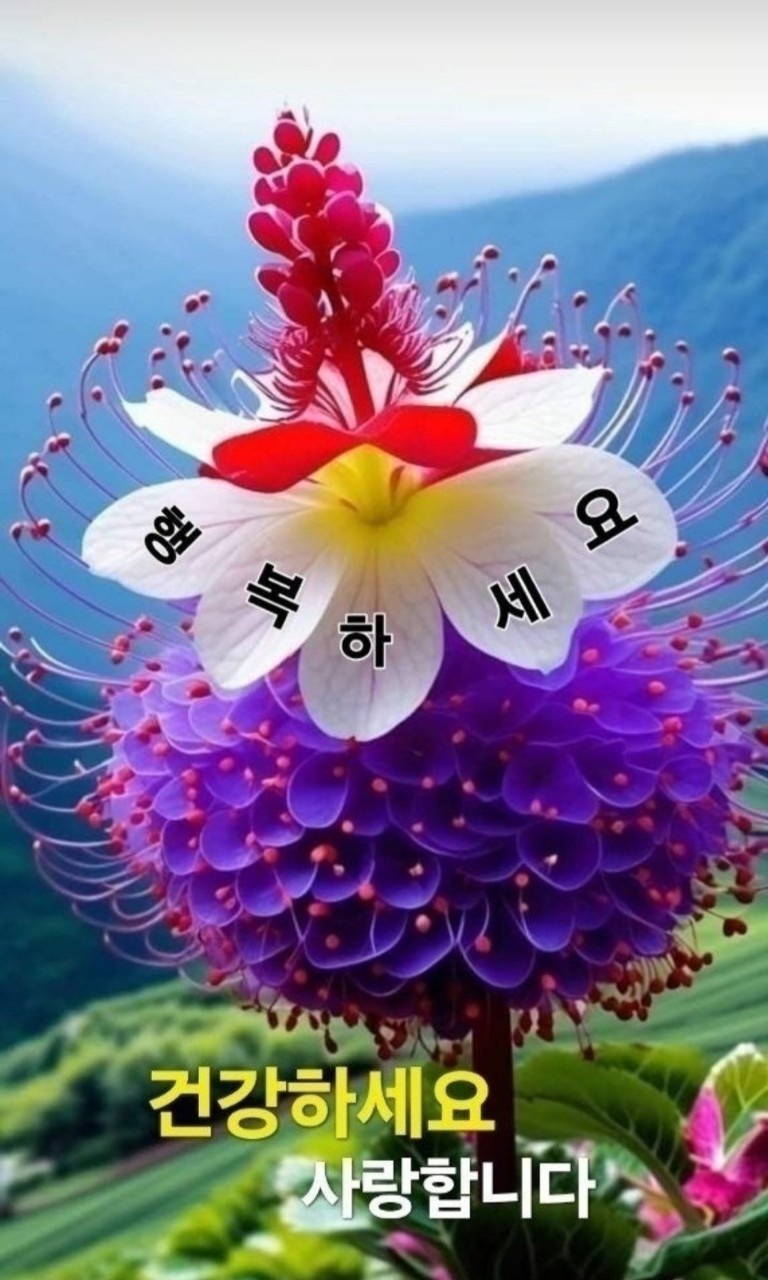 서촌마을 이미지