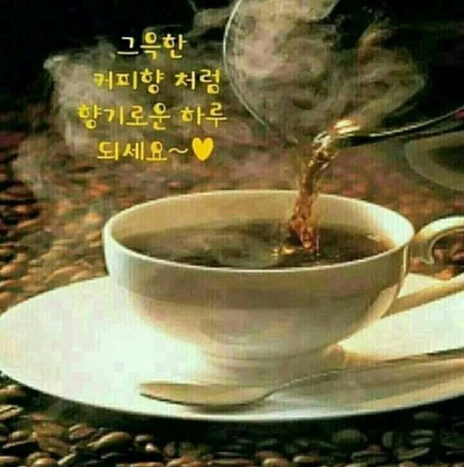 혜화동 이미지